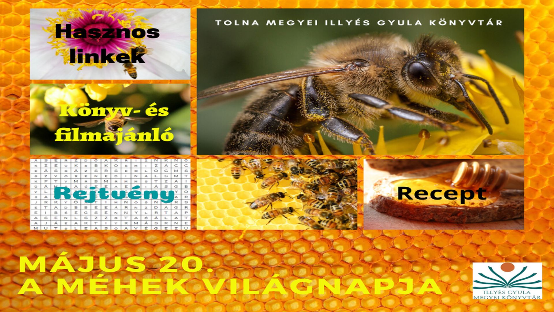 A méhek világnapja