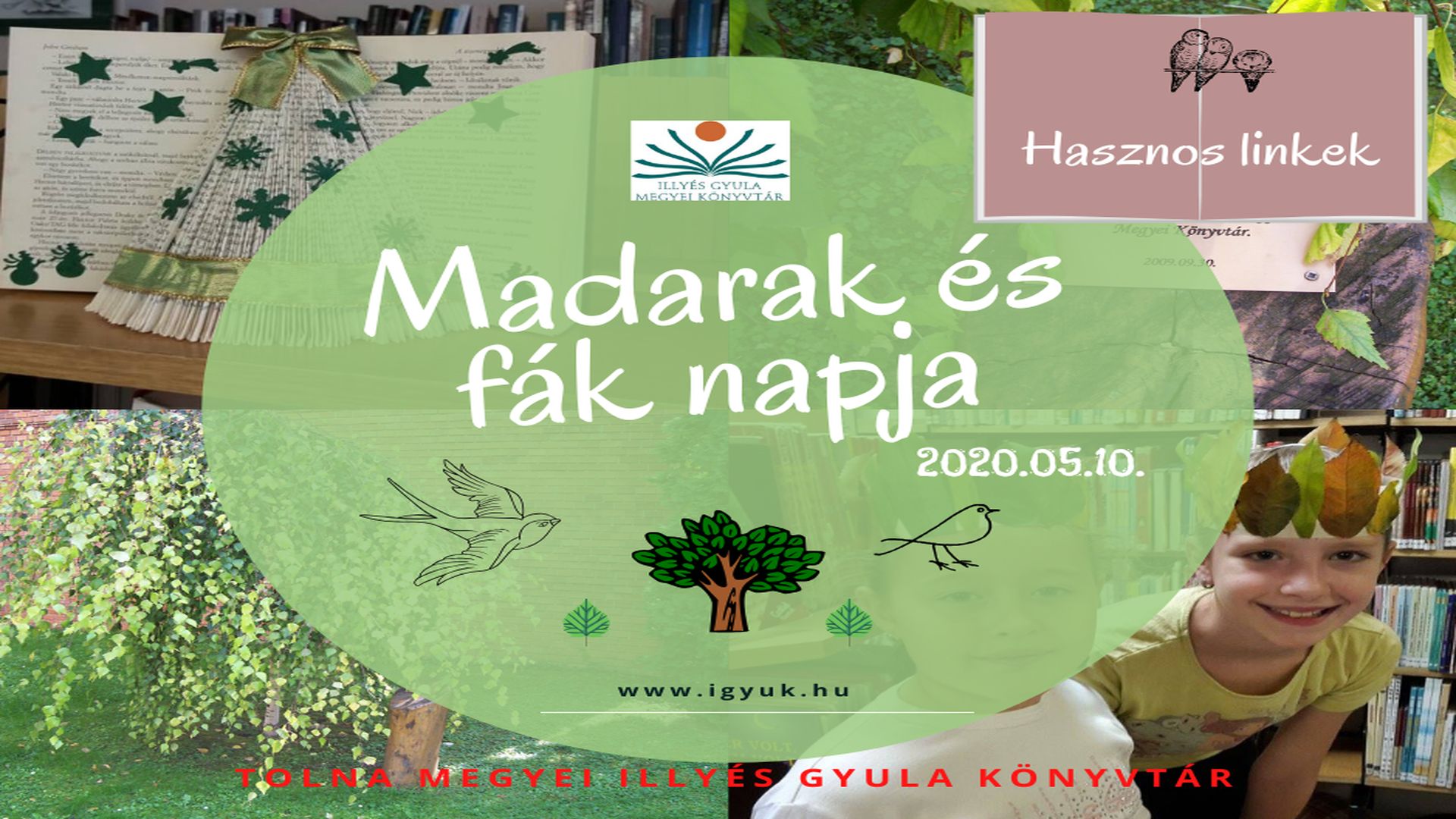 Madarak és fák napja – hasznos linkek