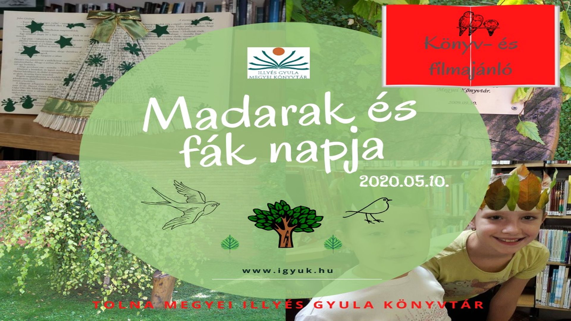 Madarak és fák napja – Könyv- és filmajánló