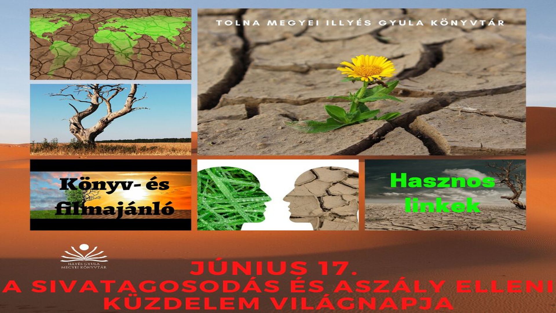 Az aszály és az elsivatagosodás elleni küzdelem világnapja