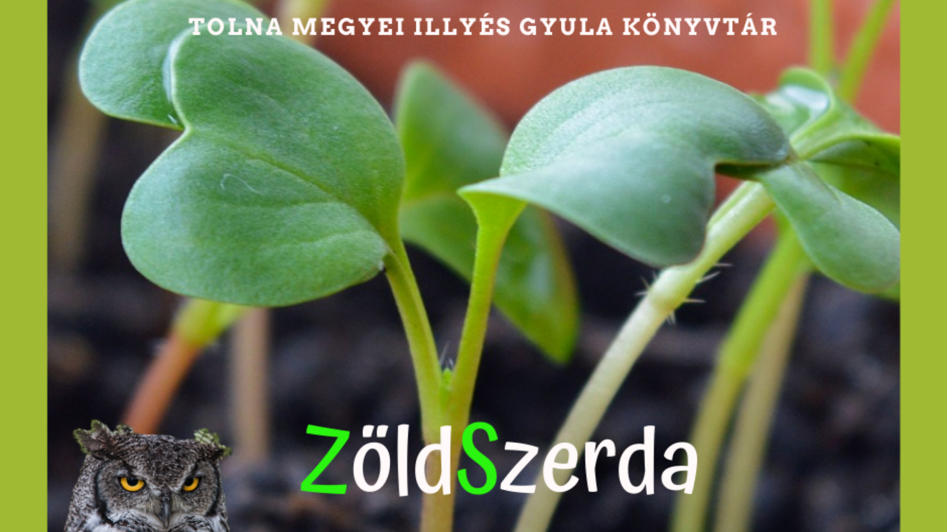 Zöld szerda – július