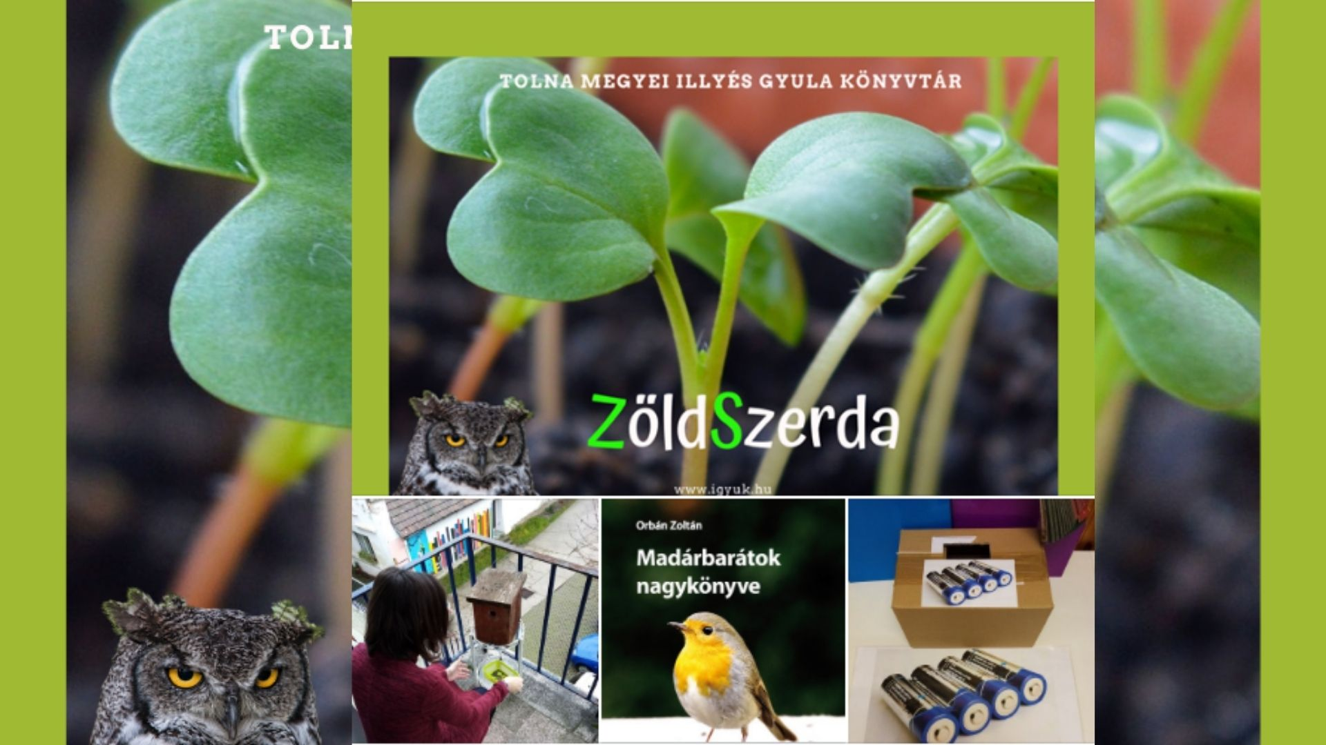 Zöld szerda