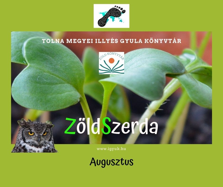 Zöld szerda – augusztus