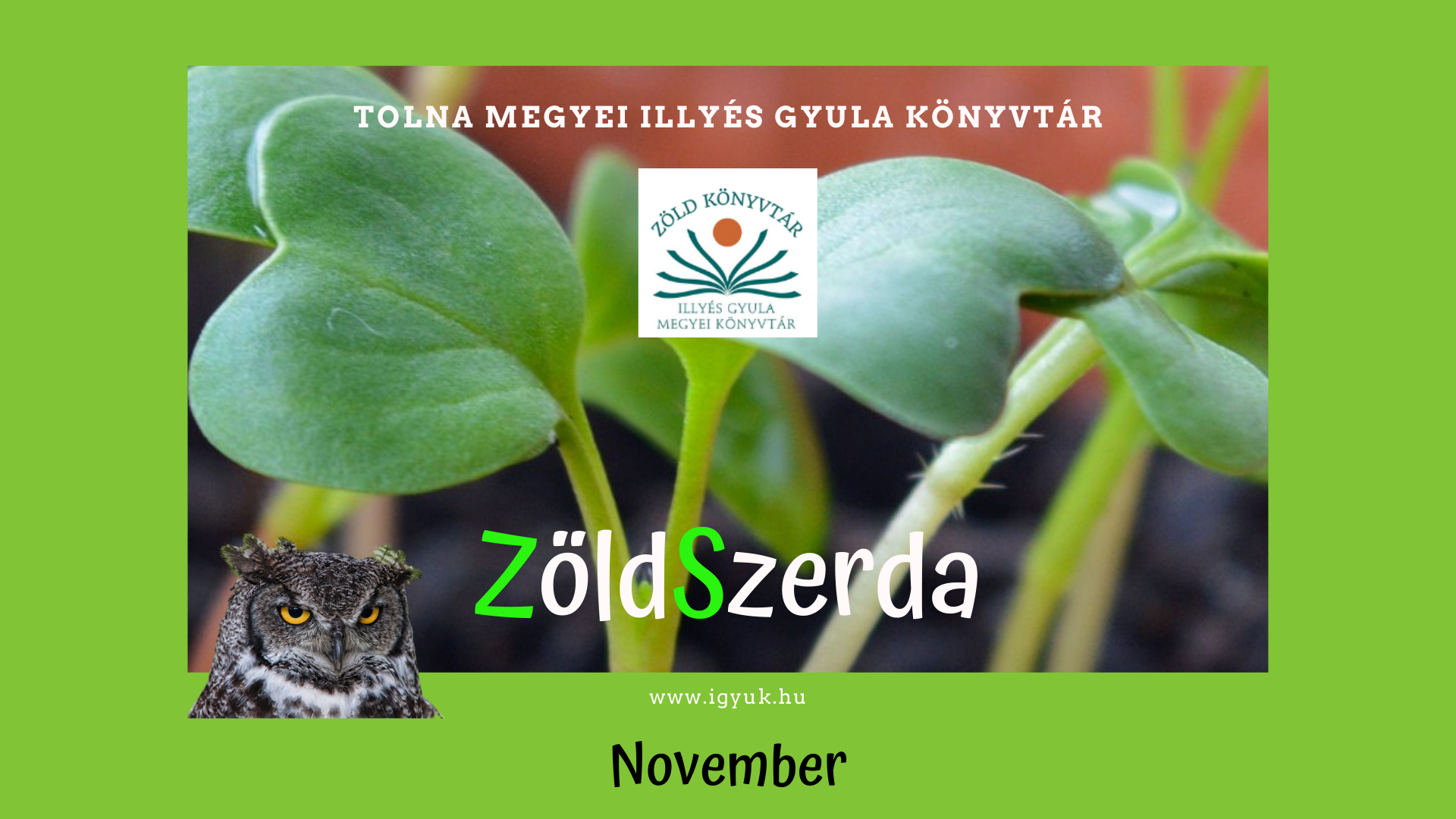 Zöld Szerda  – november