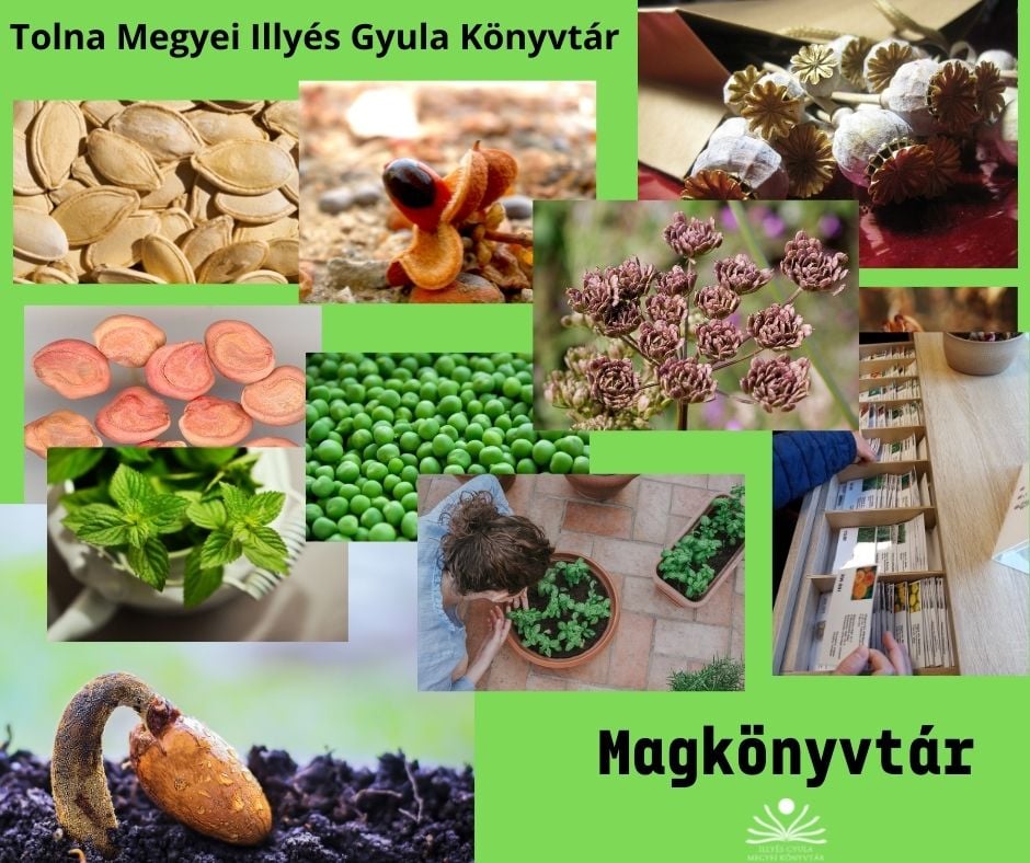 Magkönyvtár – aktuális készlet