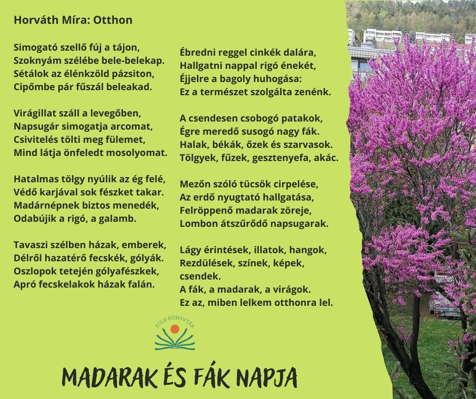 Madarak és fák napja – Horváth Míra: Otthon