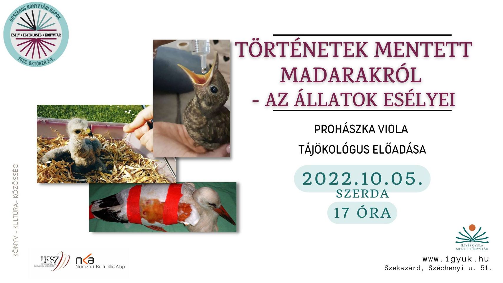 Történetek mentett madarakról – Az állatok esélyei