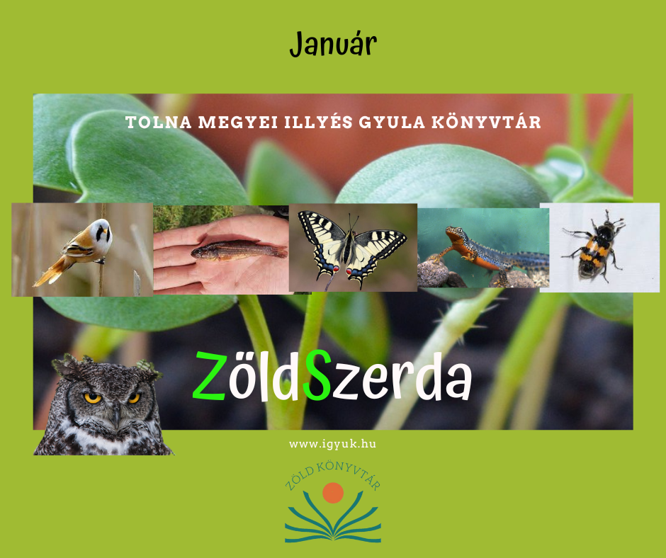 ZöldSzerda – január