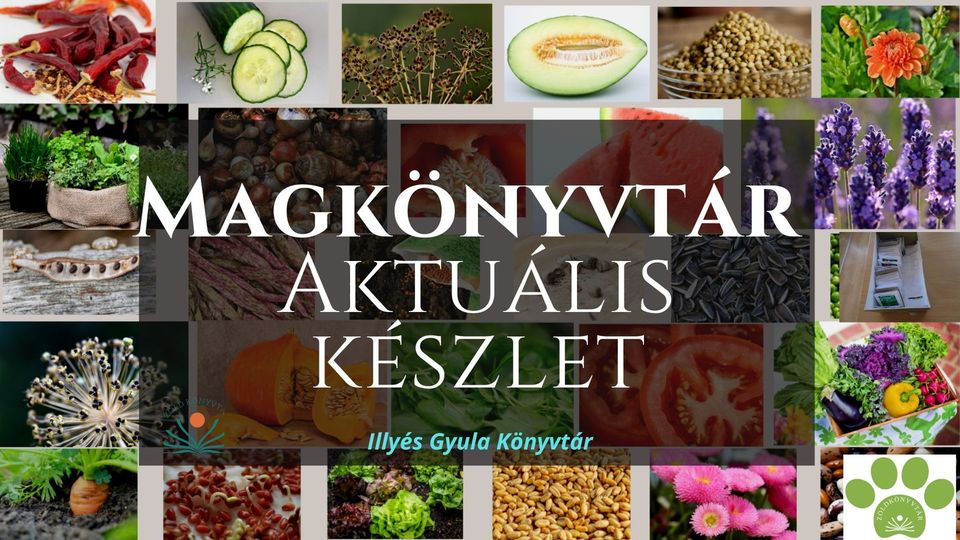 Magkönyvtár – aktuális készlet