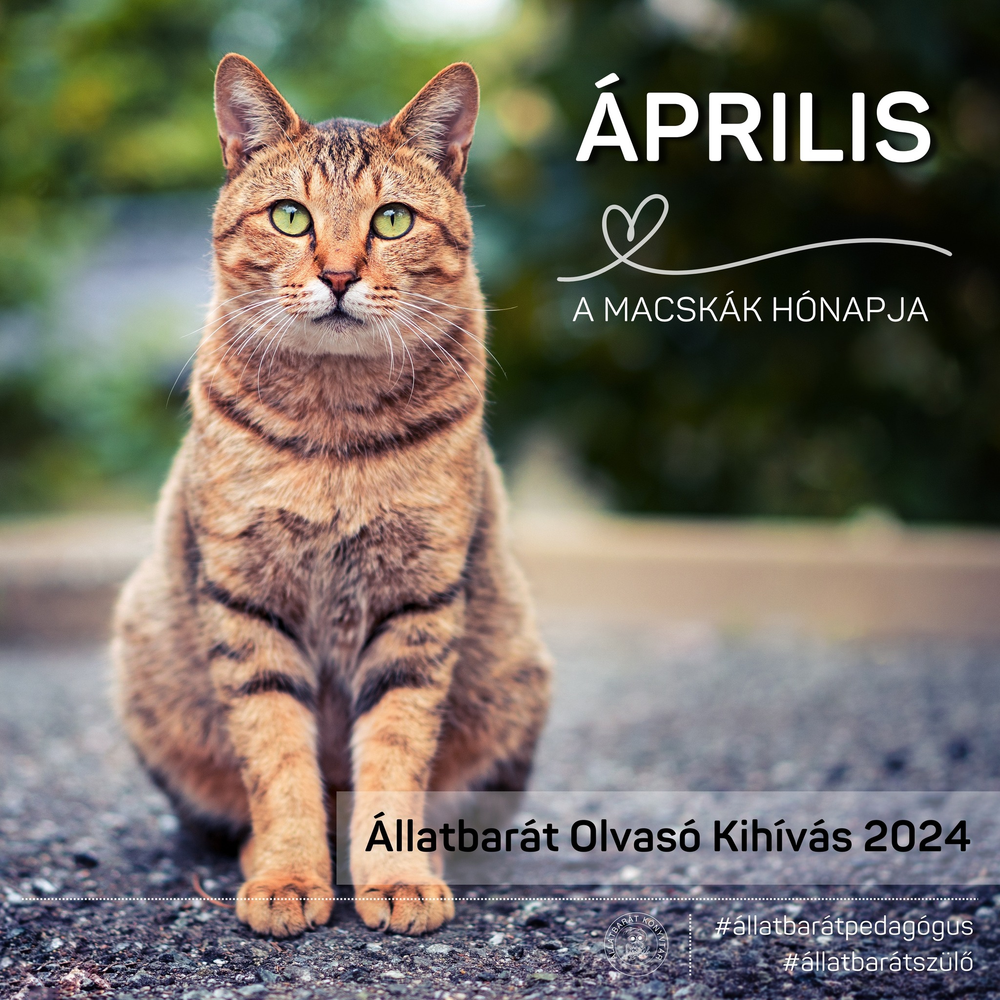 Állatbarát olvasói kihívás április – Laura Agustí: Egy macska története