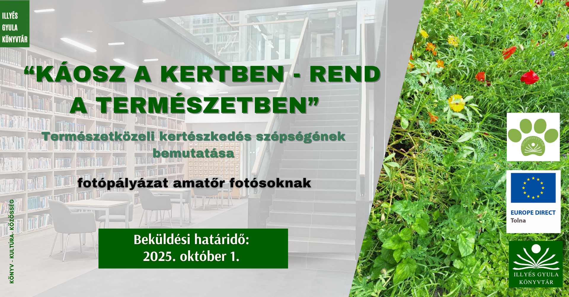 “Káosz a kertben – rend a természetben”
