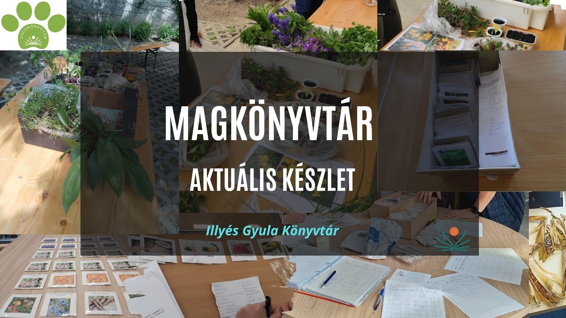 Magkönyvtár aktuális készlet: augusztus