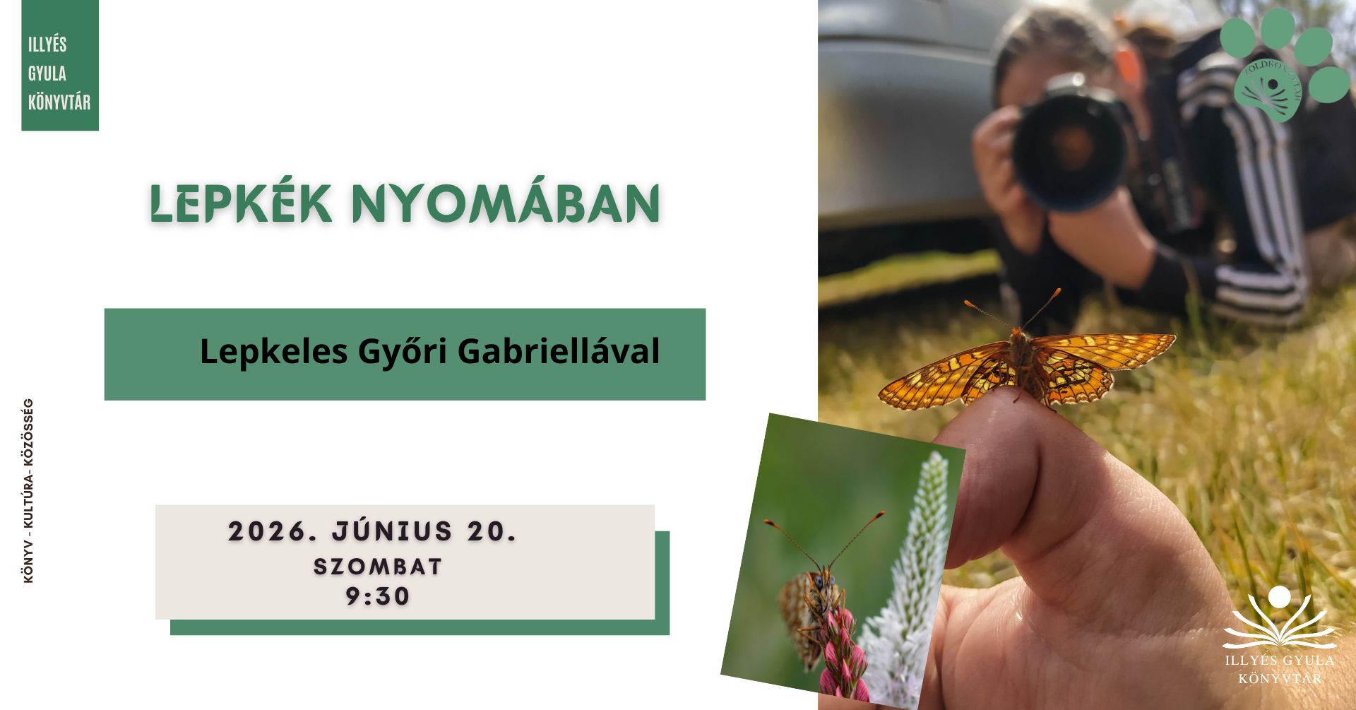 Lepkék nyomában