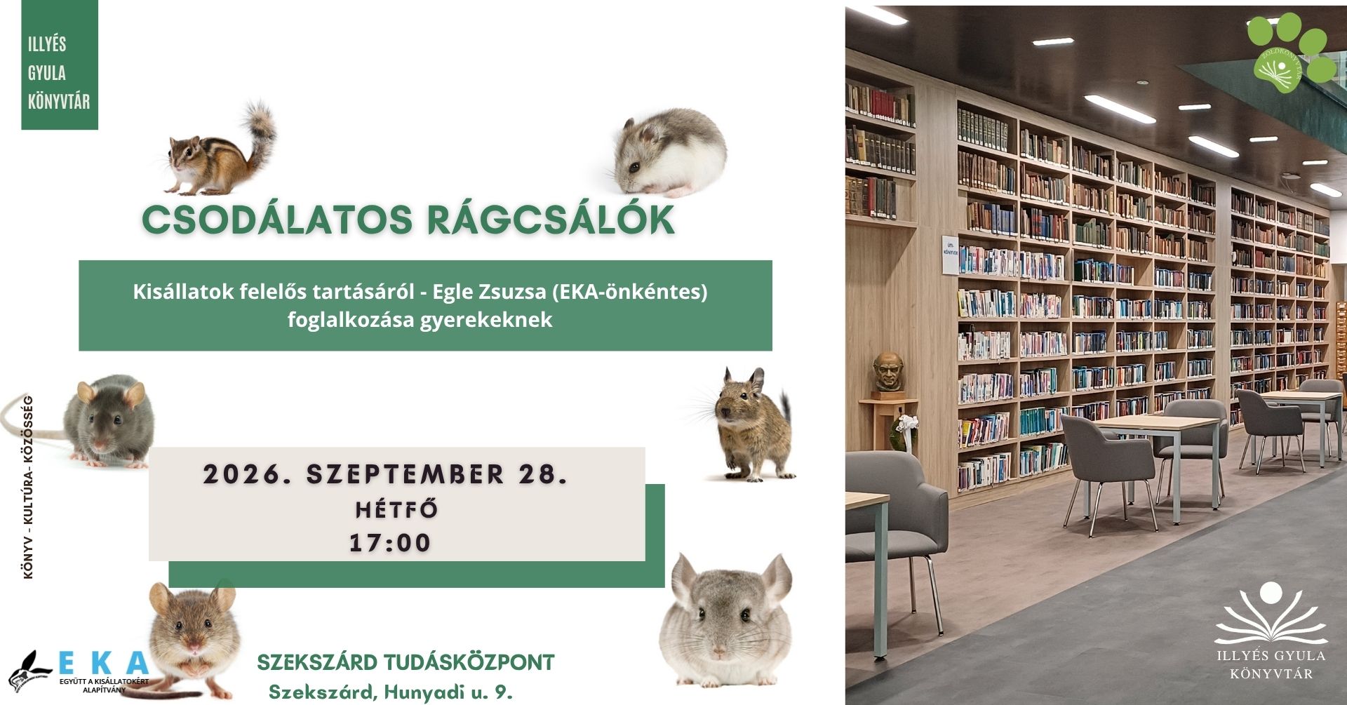 Csodálatos rágcsálók – Egle Zsuzsa (EKA-önkéntes) foglalkozása